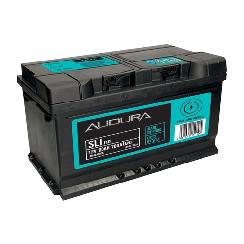 110 car battery - 110,